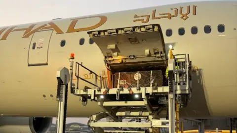 Wild Ireland press handout A large brown container is seen being placed inside a large grey aircraft.