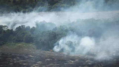 Reuters A wide view of a forest edge shows smoke drifting across recently cleared and blackened land, with small patches of fire still burning near the trees. Dense green vegetation stands in the background while a haze of grey-white smoke blankets much of the landscape, suggesting ongoing land or forest burning.