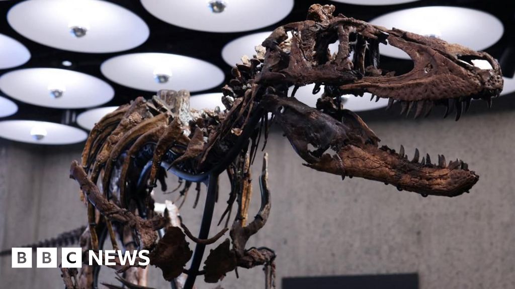 Nanotyrannus skeleton goes to auction in New York with £4.5m price tagThe auction of the rare skeleton comes amid debate in the scientific community about whether dinosaur remains should end up in private hands or public view.19 mins agoWorld Nanotyrannus skeleton goes to auction in New York with £4.5m price tagThe auction of the rare skeleton comes amid debate in the scientific community about whether dinosaur remains should end up in private hands or public view.19 mins agoWorld